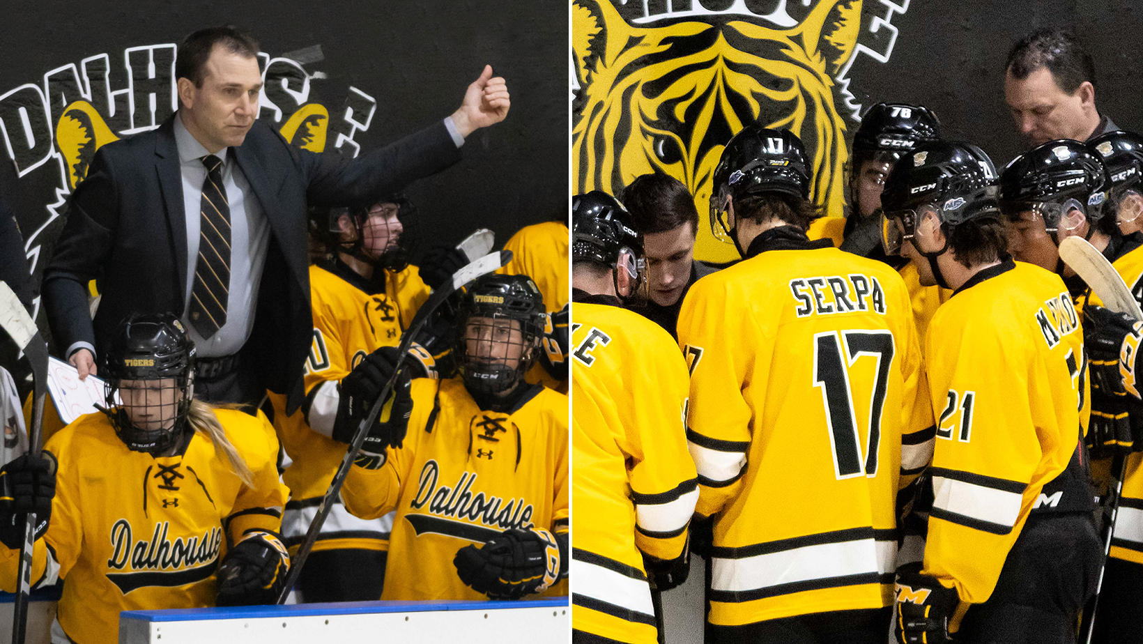 Varsity Hockey Coaching Support