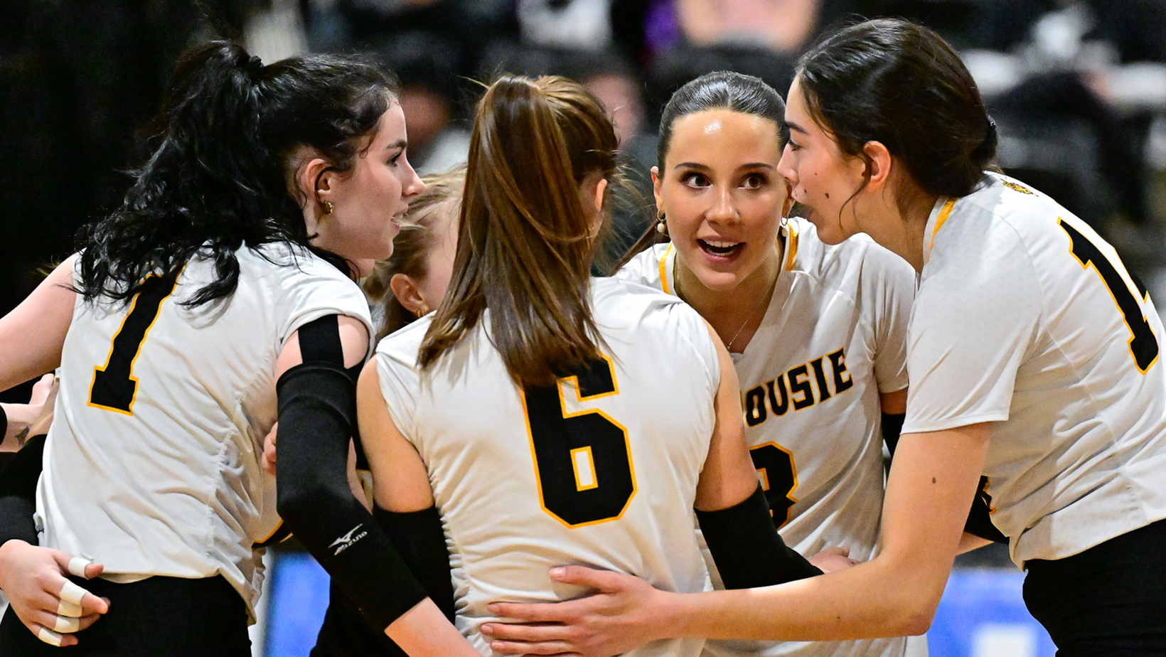 Women’s Volleyball Fund 2024/25