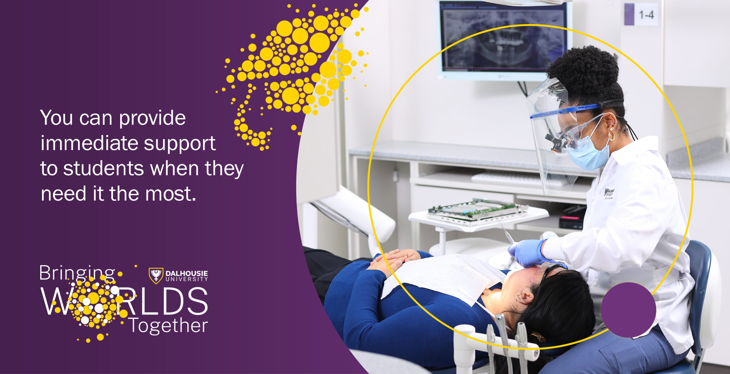 Bringing Worlds Together Bursary – Dentistry