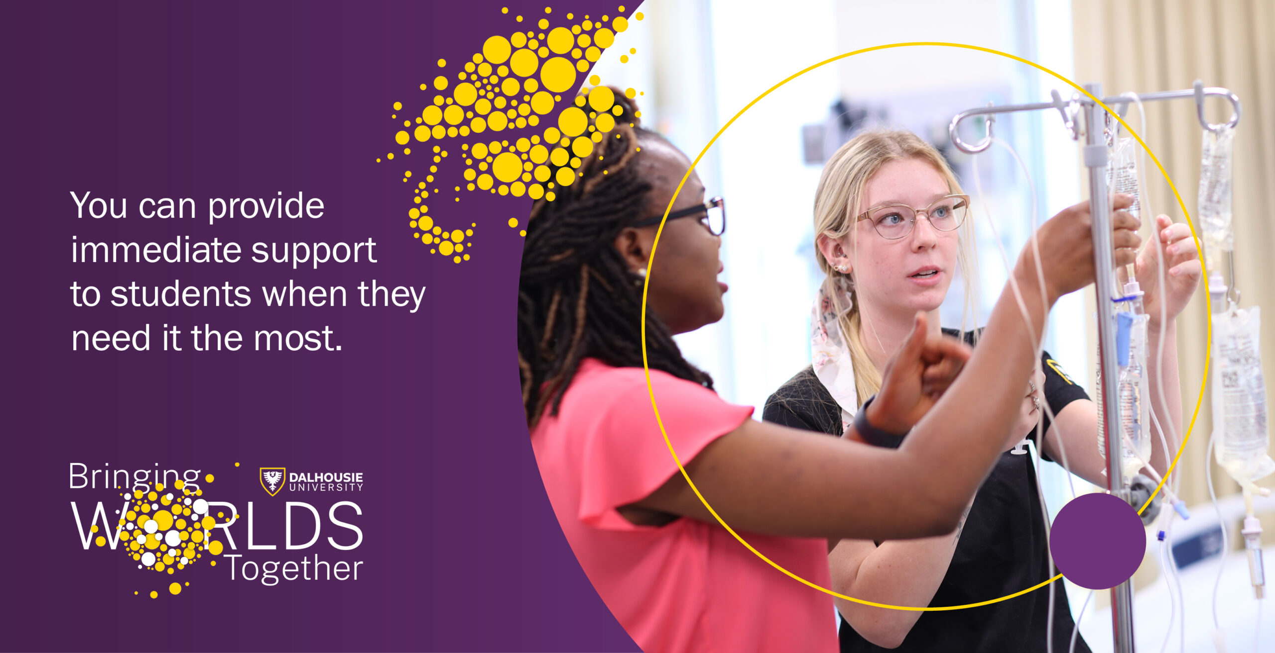 Bringing Worlds Together Bursary – Health